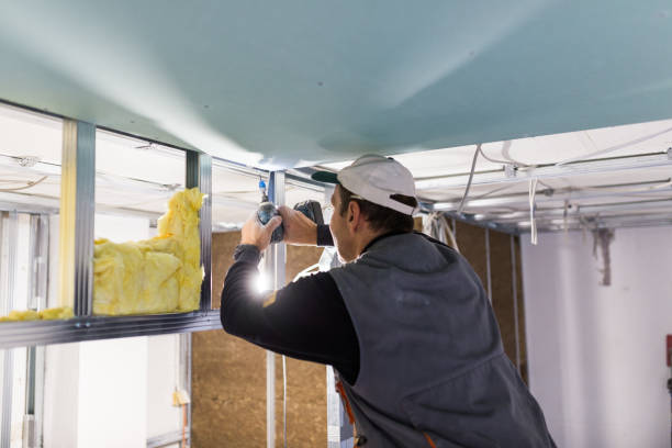 Best Energy Efficiency Solutions in Orland Hls, IL