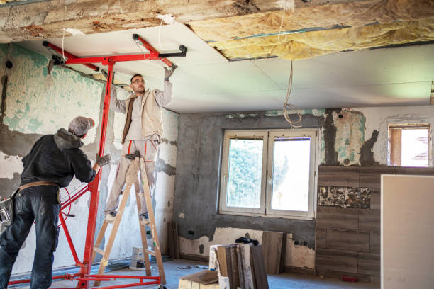 Best Residential Insulation in Orland Hls, IL