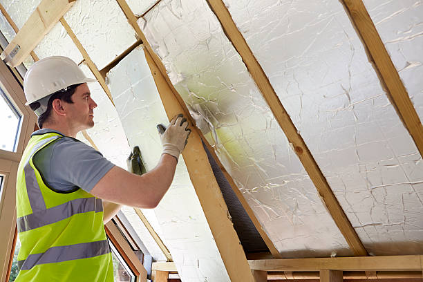 Best Insulation Installation Services in Orland Hls, IL